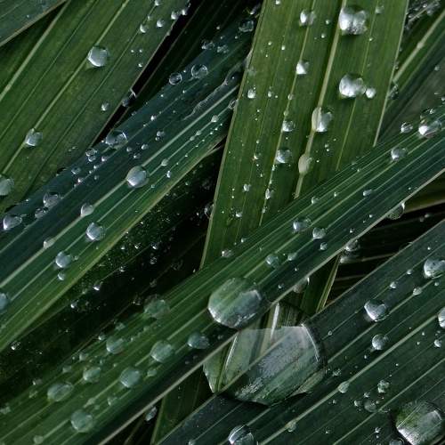 Photo #8243590