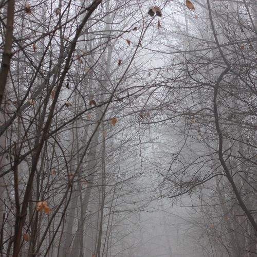 Ноябрь