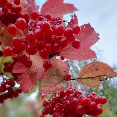 Photo #8243829