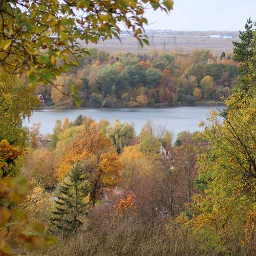 Photo #8243839