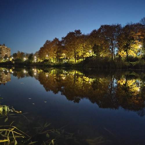 Photo #8243891