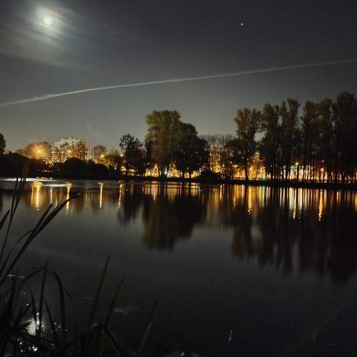 Photo #8243892