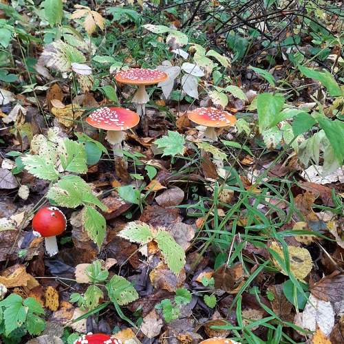 Photo #8243928