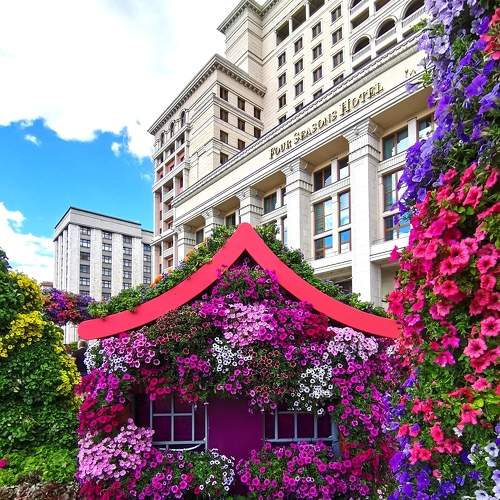 Photo #8245322