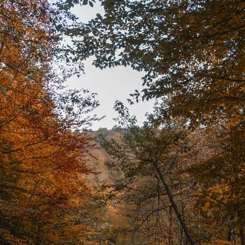 Photo #8245403