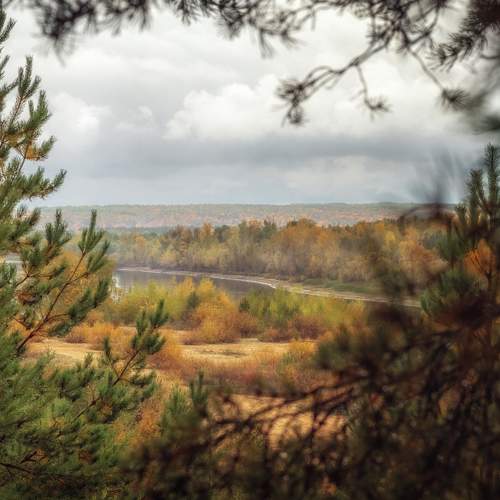 Photo #8246146