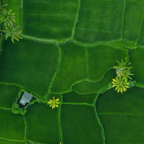 Photo #8246203