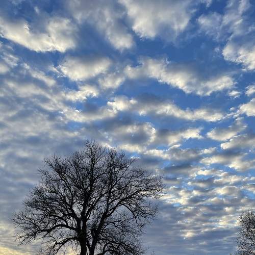 Photo #8246264