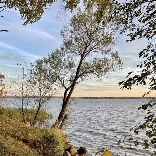 Photo #8246416