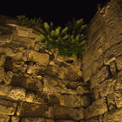 Photo #8246537