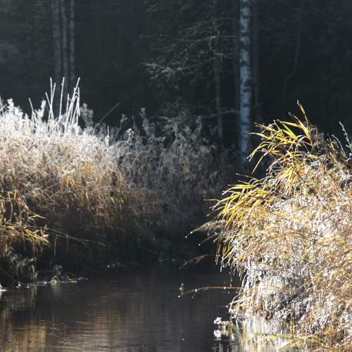 Photo #8246618