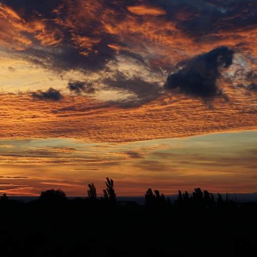 Photo #8246684