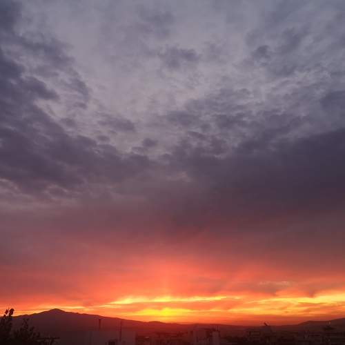 Photo #8246789