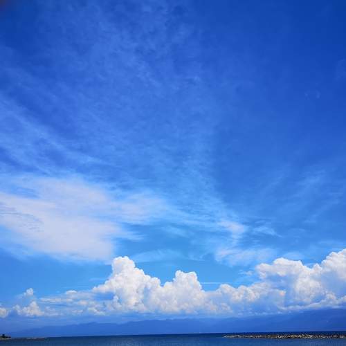 Photo #8246802