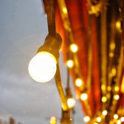 Photo #8246920
