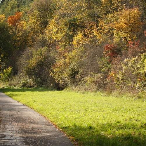 Photo #8247070