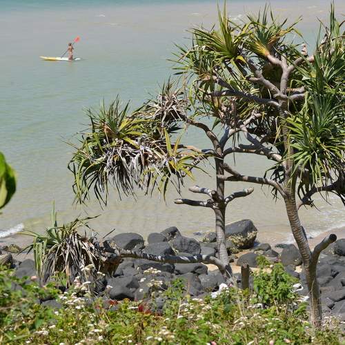Photo #8247325