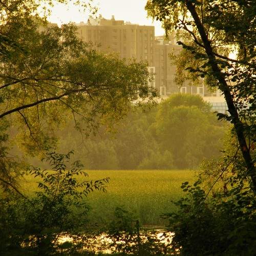 Photo #8247378