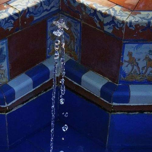 Photo #8247991