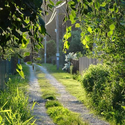 Photo #8248031