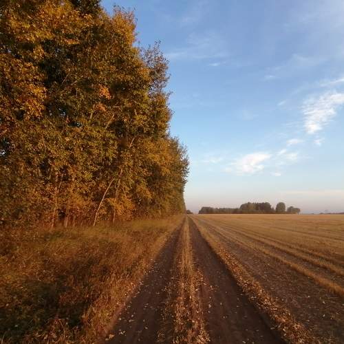 Photo #8248069