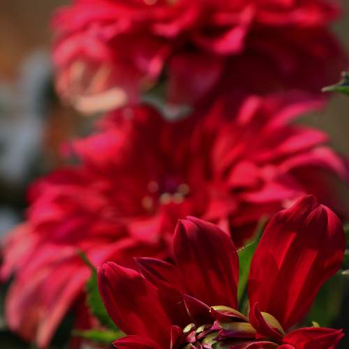 Photo #8248480