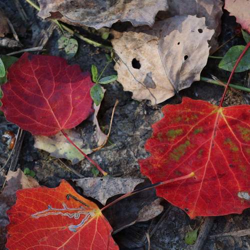 Photo #8248481
