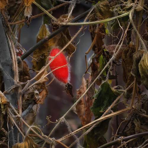 Photo #8248720