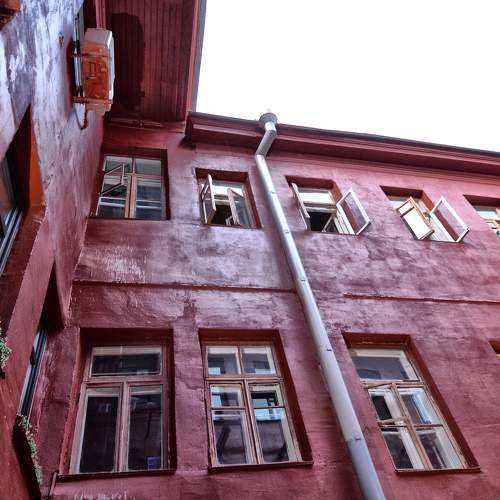 Photo #8248996