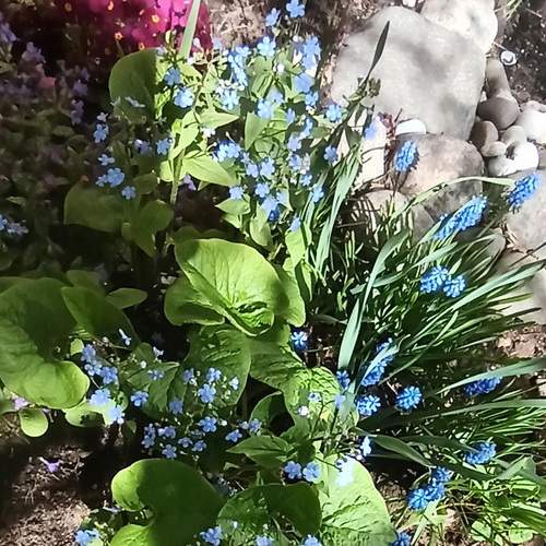 Photo #8249133
