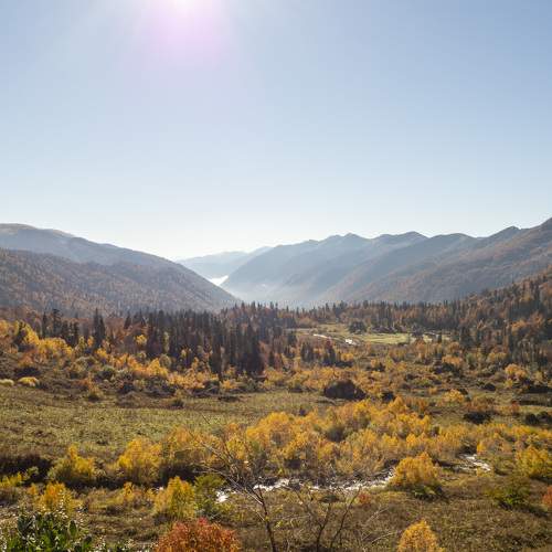 Photo #8249212
