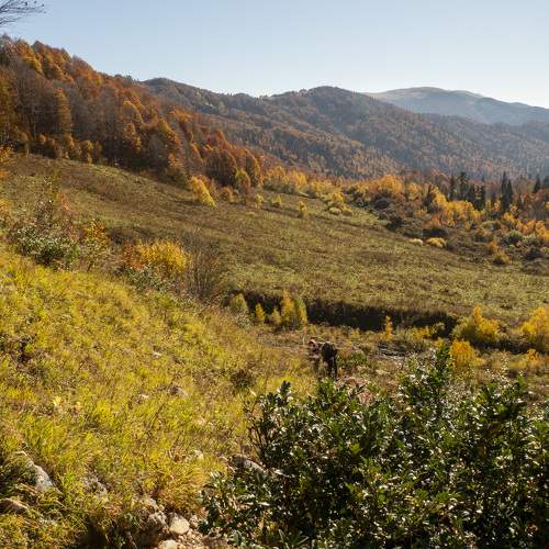 Photo #8249227