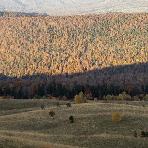 Photo #8249229