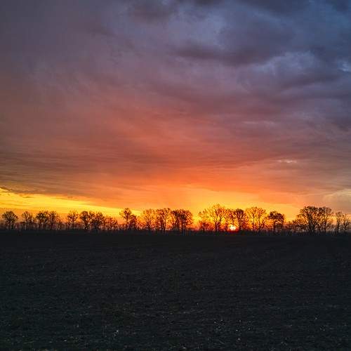 Photo #8249231