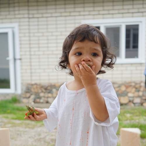 Photo #8249402