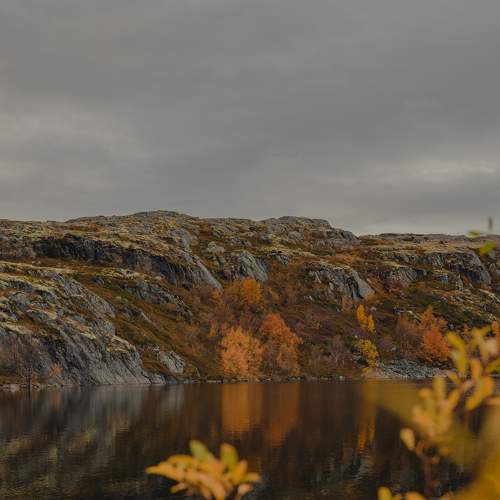 Photo #8249419