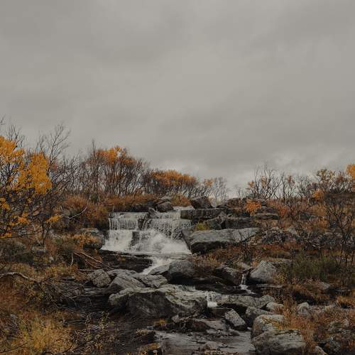 Photo #8249422