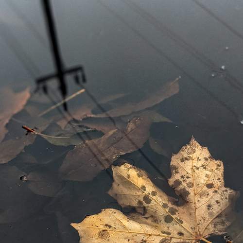 Photo #8249590