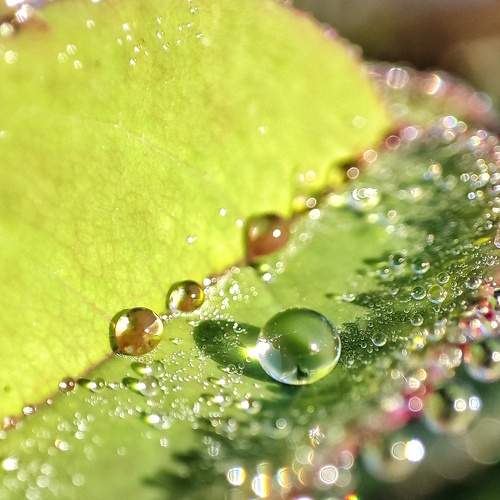 Photo #8249923