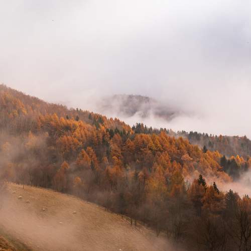 Autumn day