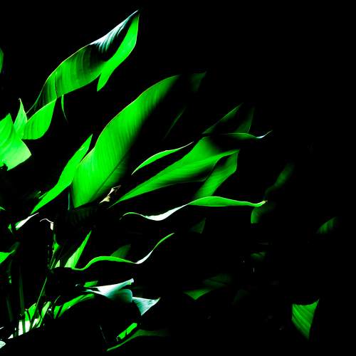 Photo #8250384