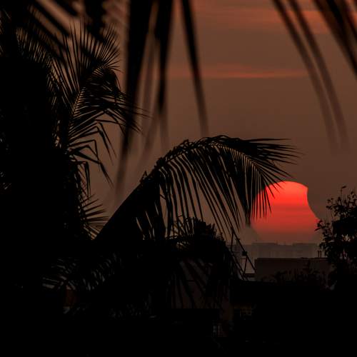 Photo #8250536