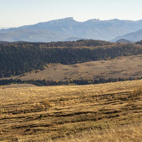 Photo #8250556