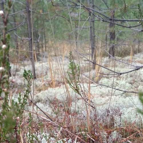 Photo #8250847