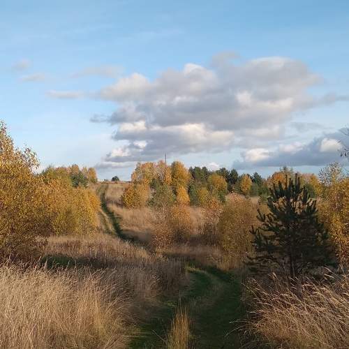 Photo #8250848