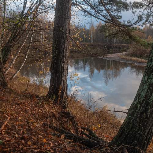 Photo #8250948