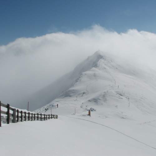 Photo #8251530