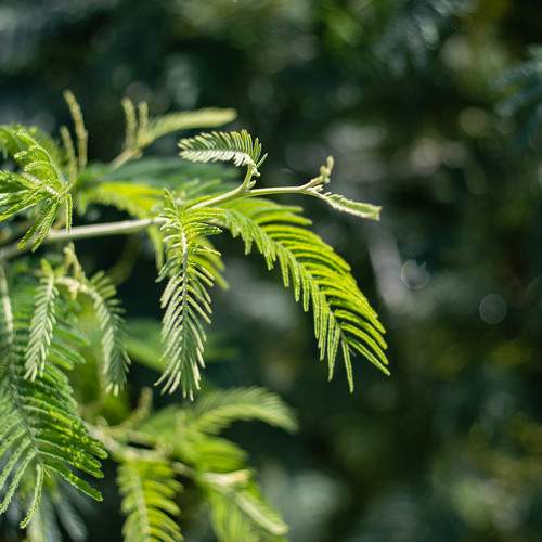 Photo #8252000