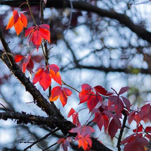 Photo #8252324