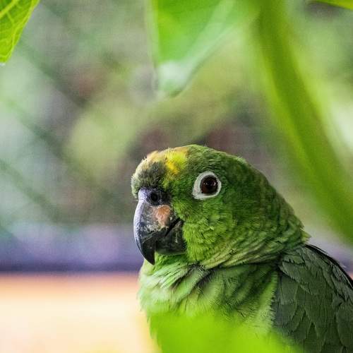 Photo #8252369